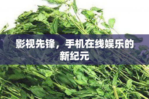 影视先锋，手机在线娱乐的新纪元