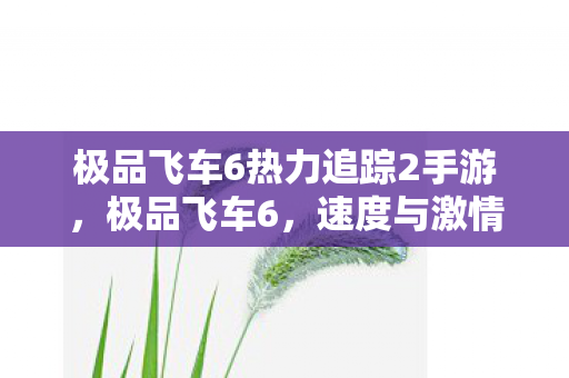 极品飞车6热力追踪2手游，极品飞车6，速度与激情的重燃