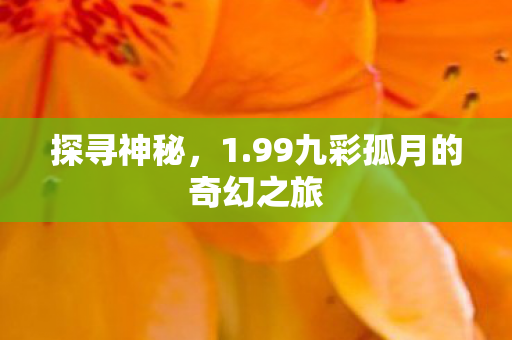 探寻神秘，1.99九彩孤月的奇幻之旅