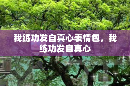 我练功发自真心表情包，我练功发自真心