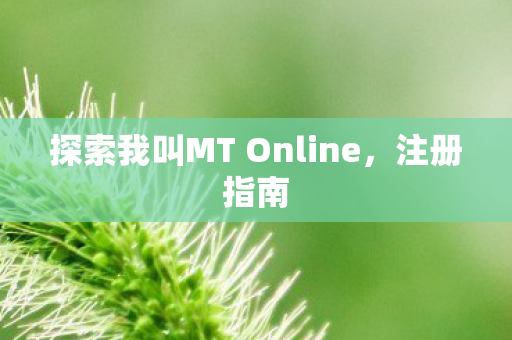 探索我叫MT Online，注册指南