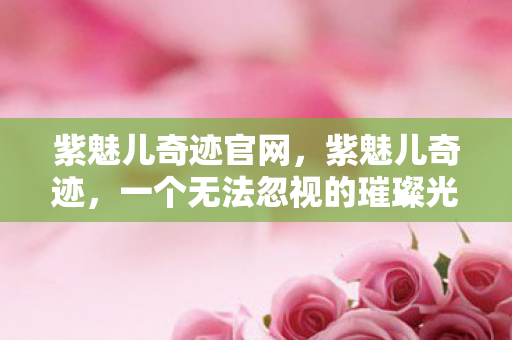 紫魅儿奇迹官网，紫魅儿奇迹，一个无法忽视的璀璨光芒