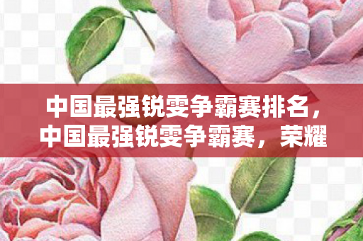 中国最强锐雯争霸赛排名，中国最强锐雯争霸赛，荣耀与技艺的巅峰对决