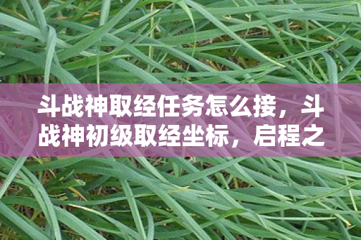 斗战神取经任务怎么接，斗战神初级取经坐标，启程之旅的起点指引