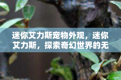 迷你艾力斯宠物外观，迷你艾力斯，探索奇幻世界的无限魅力