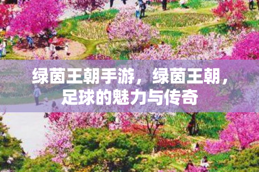 绿茵王朝手游，绿茵王朝，足球的魅力与传奇