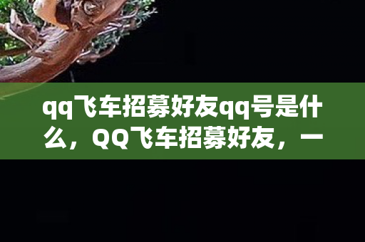 qq飞车招募好友qq号是什么，QQ飞车招募好友，一起畅游虚拟赛道！