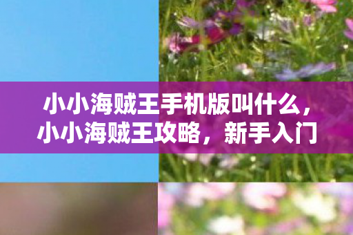 小小海贼王手机版叫什么，小小海贼王攻略，新手入门指南