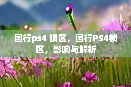 国行ps4 锁区，国行PS4锁区，影响与解析