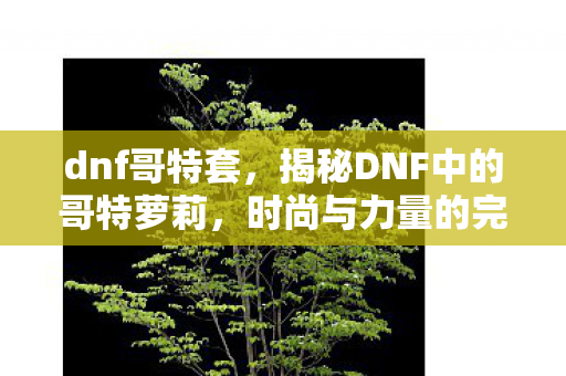 dnf哥特套，揭秘DNF中的哥特萝莉，时尚与力量的完美结合