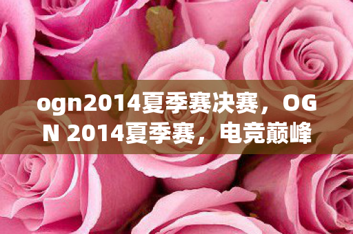 ogn2014夏季赛决赛，OGN 2014夏季赛，电竞巅峰的对决