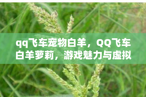 qq飞车宠物白羊，QQ飞车白羊萝莉，游戏魅力与虚拟世界的独特风采