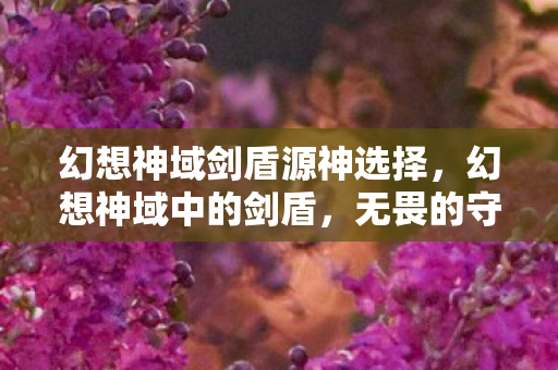 幻想神域剑盾源神选择，幻想神域中的剑盾，无畏的守护者