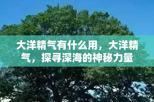 大洋精气有什么用，大洋精气，探寻深海的神秘力量