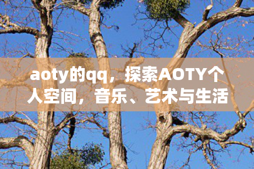 aoty的qq，探索AOTY个人空间，音乐、艺术与生活的完美融合