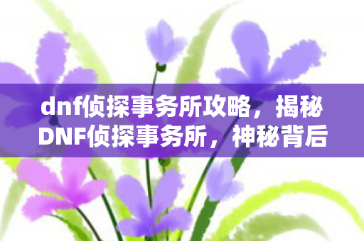 dnf侦探事务所攻略，揭秘DNF侦探事务所，神秘背后的真相之旅