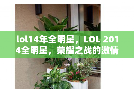 lol14年全明星，LOL 2014全明星，荣耀之战的激情瞬间