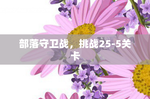 部落守卫战，挑战25-5关卡