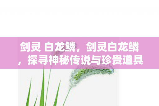 剑灵 白龙鳞，剑灵白龙鳞，探寻神秘传说与珍贵道具的背后故事