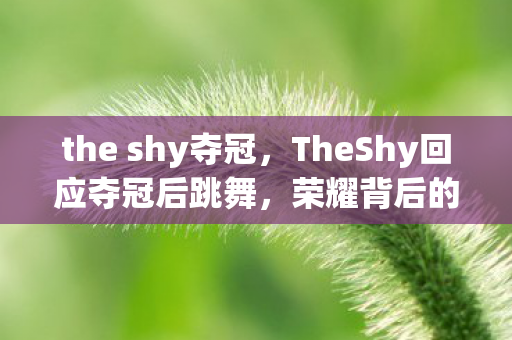 the shy夺冠，TheShy回应夺冠后跳舞，荣耀背后的热血与激情
