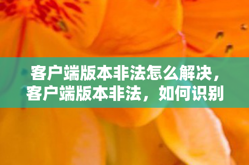 客户端版本非法怎么解决，客户端版本非法，如何识别与应对