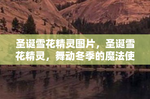 圣诞雪花精灵图片，圣诞雪花精灵，舞动冬季的魔法使者