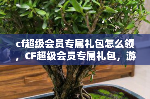 cf超级会员专属礼包怎么领，CF超级会员专属礼包，游戏特权与豪华礼遇的完美结合