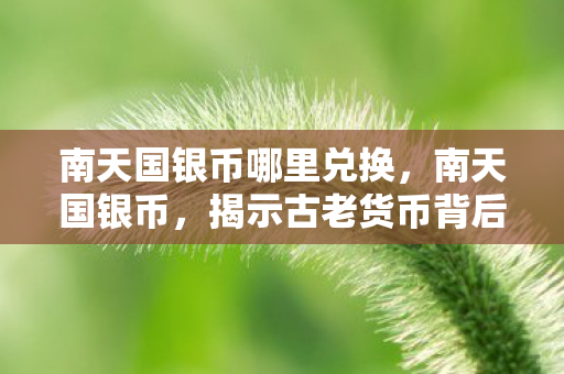 南天国银币哪里兑换，南天国银币，揭示古老货币背后的神秘面纱