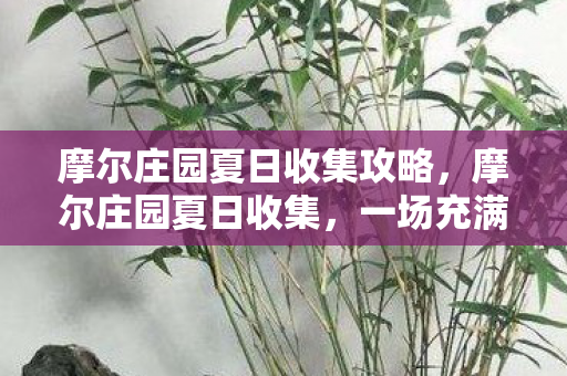 摩尔庄园夏日收集攻略，摩尔庄园夏日收集，一场充满乐趣与回忆的冒险之旅