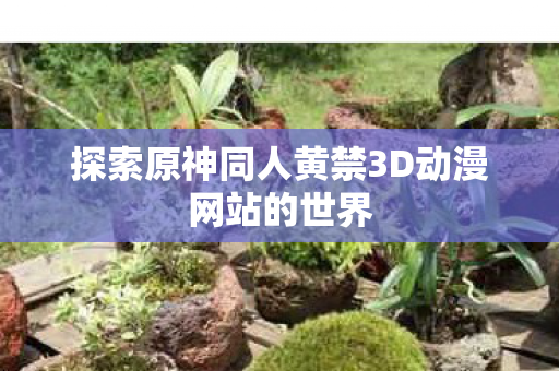 探索原神同人黄禁3D动漫网站的世界