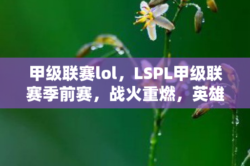 甲级联赛lol，LSPL甲级联赛季前赛，战火重燃，英雄集结