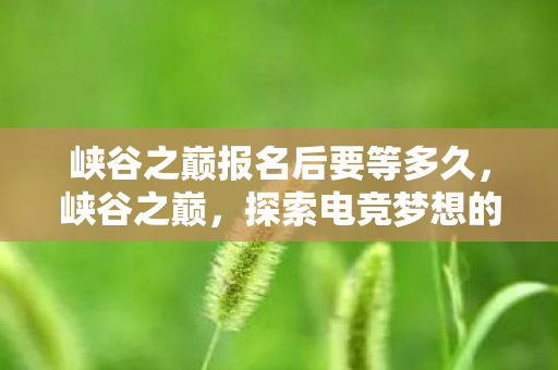 峡谷之巅报名后要等多久，峡谷之巅，探索电竞梦想的起点—报名指南详解
