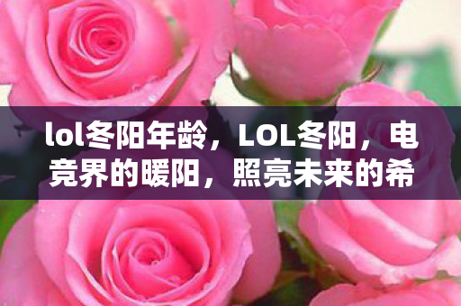 lol冬阳年龄，LOL冬阳，电竞界的暖阳，照亮未来的希望之星