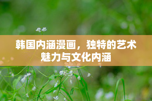 韩国内涵漫画，独特的艺术魅力与文化内涵