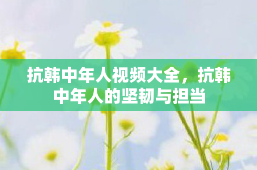 抗韩中年人视频大全，抗韩中年人的坚韧与担当