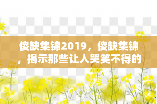 傻缺集锦2019，傻缺集锦，揭示那些让人哭笑不得的傻事瞬间