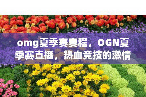 omg夏季赛赛程，OGN夏季赛直播，热血竞技的激情盛宴