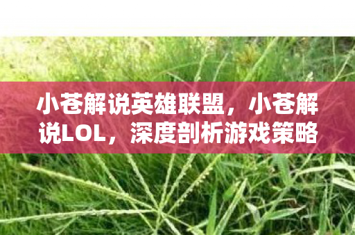 小苍解说英雄联盟，小苍解说LOL，深度剖析游戏策略与英雄角色魅力