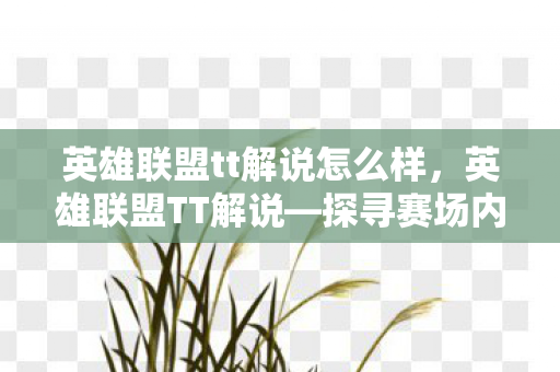 英雄联盟tt解说怎么样，英雄联盟TT解说—探寻赛场内外的故事