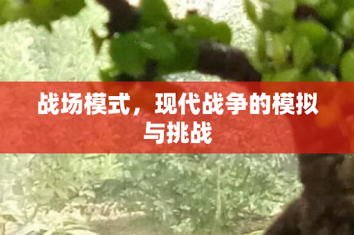 战场模式，现代战争的模拟与挑战