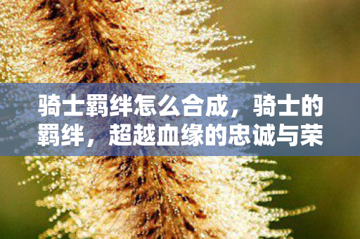 骑士羁绊怎么合成，骑士的羁绊，超越血缘的忠诚与荣耀