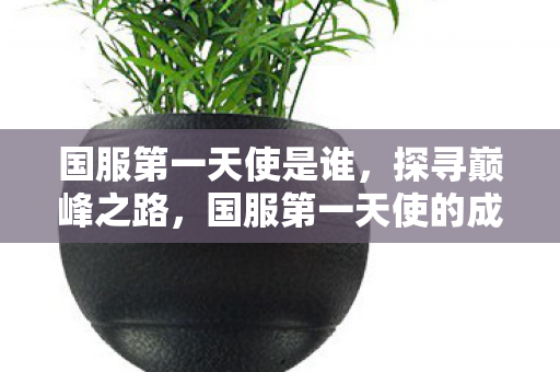 国服第一天使是谁，探寻巅峰之路，国服第一天使的成长之旅