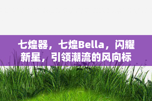 七煌器，七煌Bella，闪耀新星，引领潮流的风向标