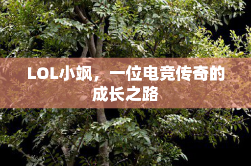 LOL小飒，一位电竞传奇的成长之路