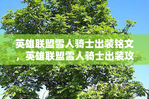 英雄联盟雪人骑士出装铭文，英雄联盟雪人骑士出装攻略