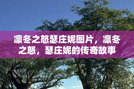 凛冬之怒瑟庄妮图片，凛冬之怒，瑟庄妮的传奇故事