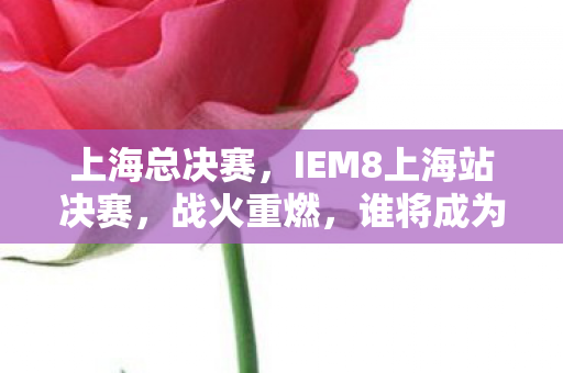 上海总决赛，IEM8上海站决赛，战火重燃，谁将成为电竞新霸主？
