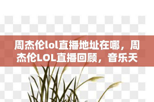周杰伦lol直播地址在哪，周杰伦LOL直播回顾，音乐天王的游戏风采