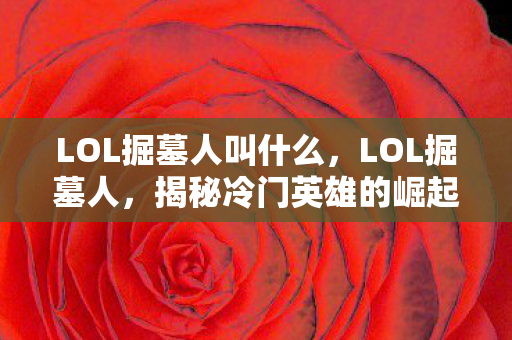 LOL掘墓人叫什么，LOL掘墓人，揭秘冷门英雄的崛起之路
