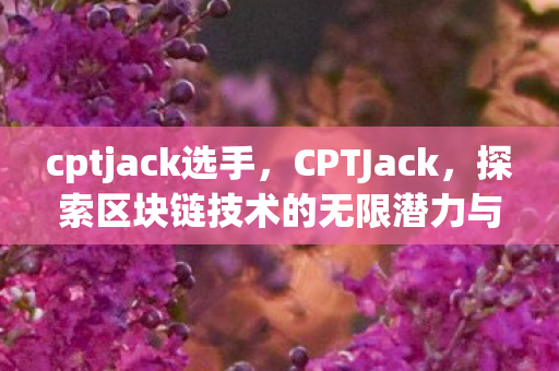 cptjack选手，CPTJack，探索区块链技术的无限潜力与未来趋势